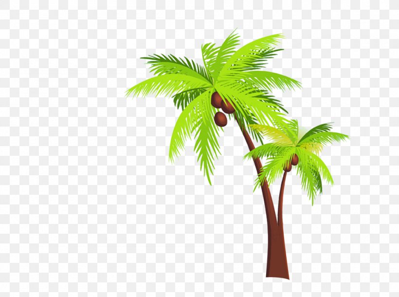 Kerala Arecaceae Coconut Travel Icon, PNG, 1000x744px, Kerala, Arecaceae, Beach, Coconut, Flowerpot Download Free