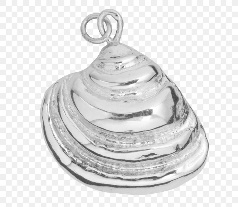 Pawleys Island Jewellery Seashell Charms & Pendants Shell Jewelry, PNG, 693x714px, Pawleys Island, Body Jewelry, Charm Bracelet, Charms Pendants, Clam Download Free