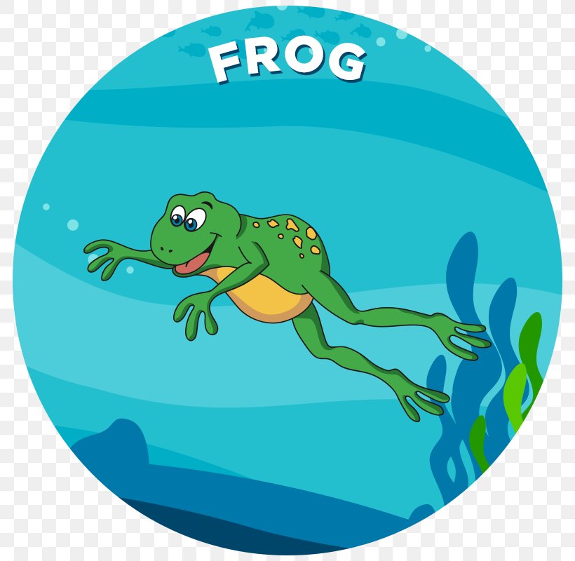 Tree Frog Tadpole Child Propel Swim Academy, PNG, 800x800px, Tree Frog, Amphibian, Aqua, Cartoon, Child Download Free