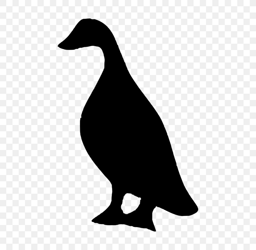 Duck Bird Silhouette Goose, PNG, 569x800px, Duck, Anatidae, Artwork, Beak, Bird Download Free