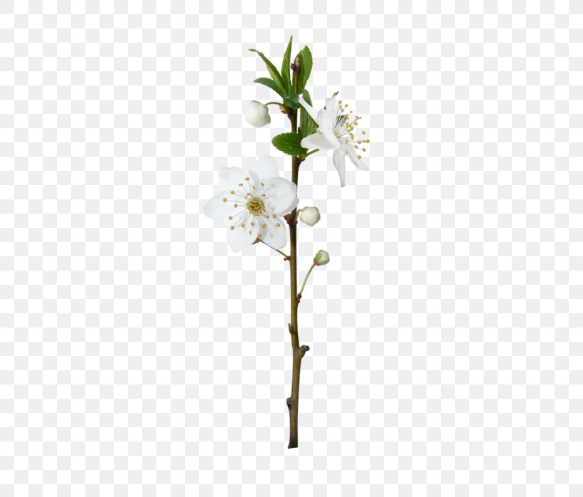 Flowering Plant Blossom Plant Stem Tree, PNG, 388x698px, Flower, Artificial Flower, Blossom, Branch, Cut Flowers Download Free