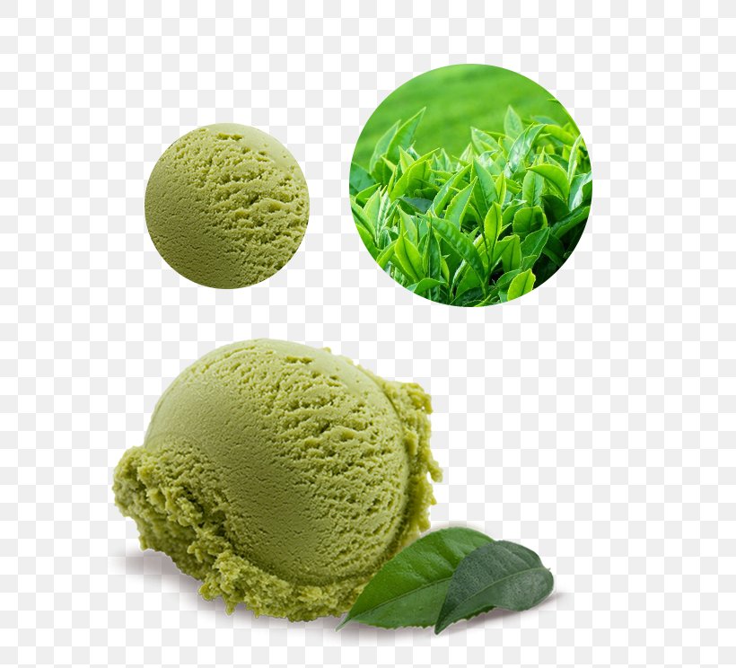 Green Tea Ice Cream Matcha, PNG, 583x744px, Green Tea Ice Cream, Cream, Dish, Drink, Flavor Download Free