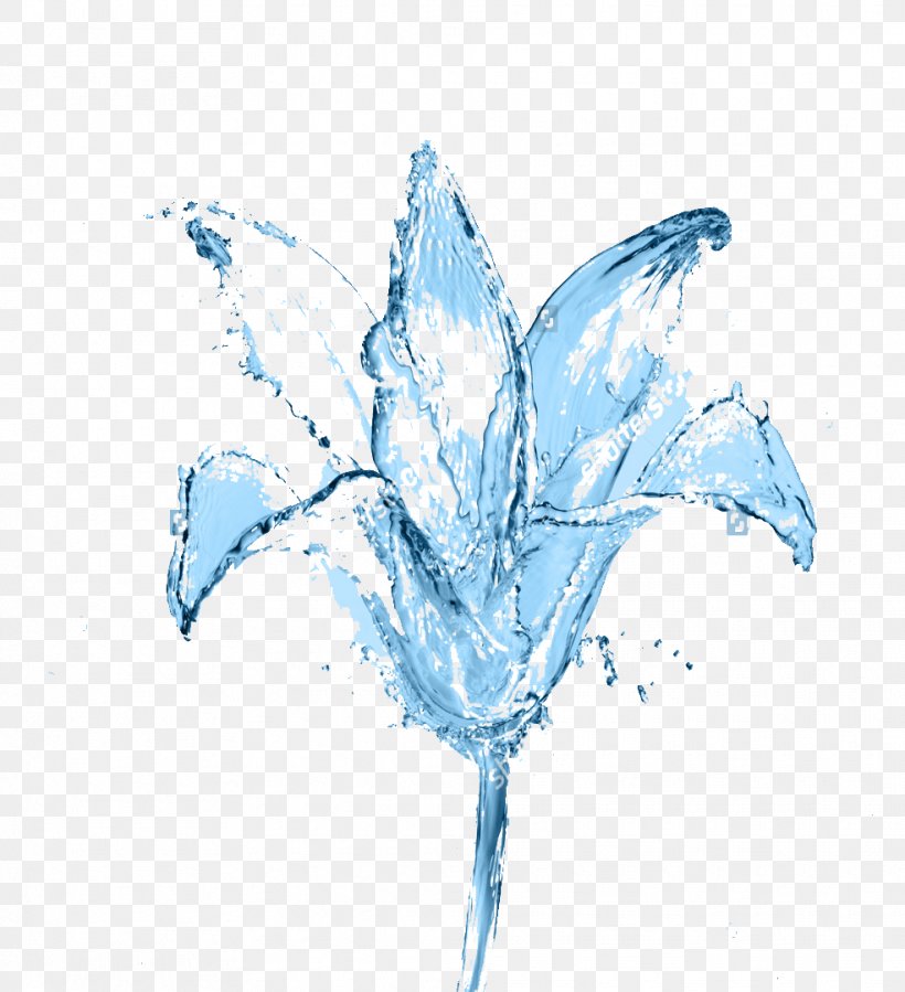 Water Flower Inner Peace Fototapet Sky Blue, PNG, 985x1080px, Water, Blue, Cobalt Blue, Contentment, Dalai Lama Download Free