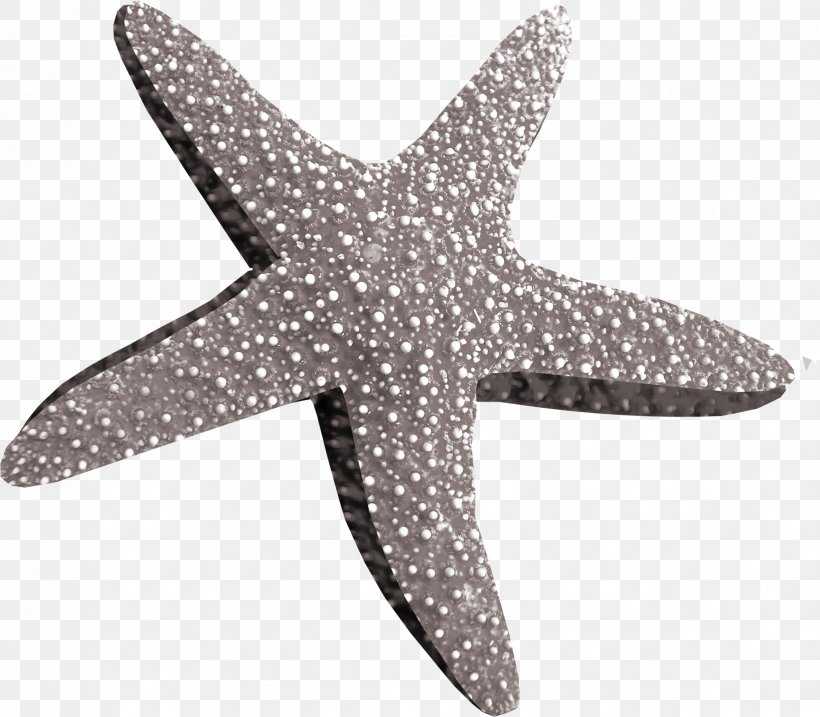 Starfish Clip Art, PNG, 2346x2054px, Starfish, Abyssal Zone, Data Compression, Echinoderm, Information Download Free