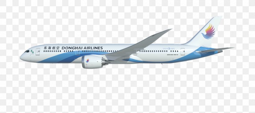 Boeing 737 Next Generation Boeing 767 Boeing 787 Dreamliner Boeing 777 Airbus A330, PNG, 1000x445px, Boeing 737 Next Generation, Aerospace Engineering, Aerospace Manufacturer, Air Travel, Airbus Download Free