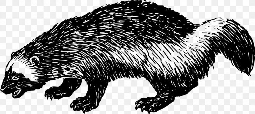 Domesticated Hedgehog Clip Art, PNG, 1000x451px, Domesticated Hedgehog, Animal Figure, Badger, Beaver, Black And White Download Free
