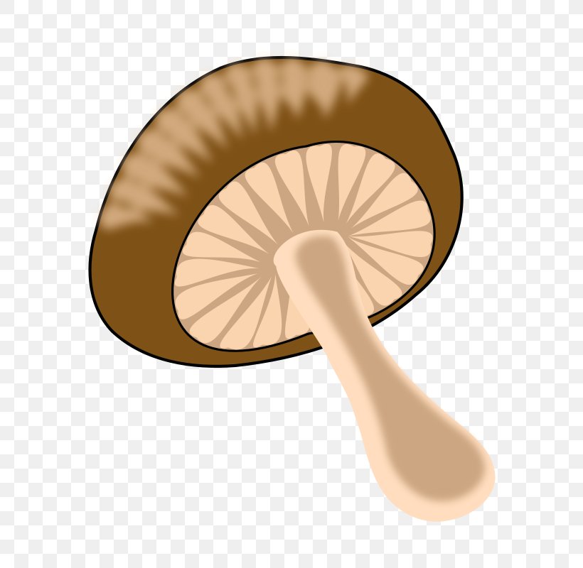 Edible Mushroom Common Mushroom Fungus Clip Art, PNG, 701x800px, Edible Mushroom, Amanita Muscaria, Common Mushroom, Cream Of Mushroom Soup, Ear Download Free