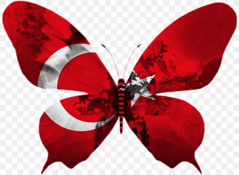 Flag Of Turkey Agar.io Eurovision Song Contest Flag Of Portugal, PNG, 810x600px, Flag, Agario, Arthropod, Butterfly, English Download Free