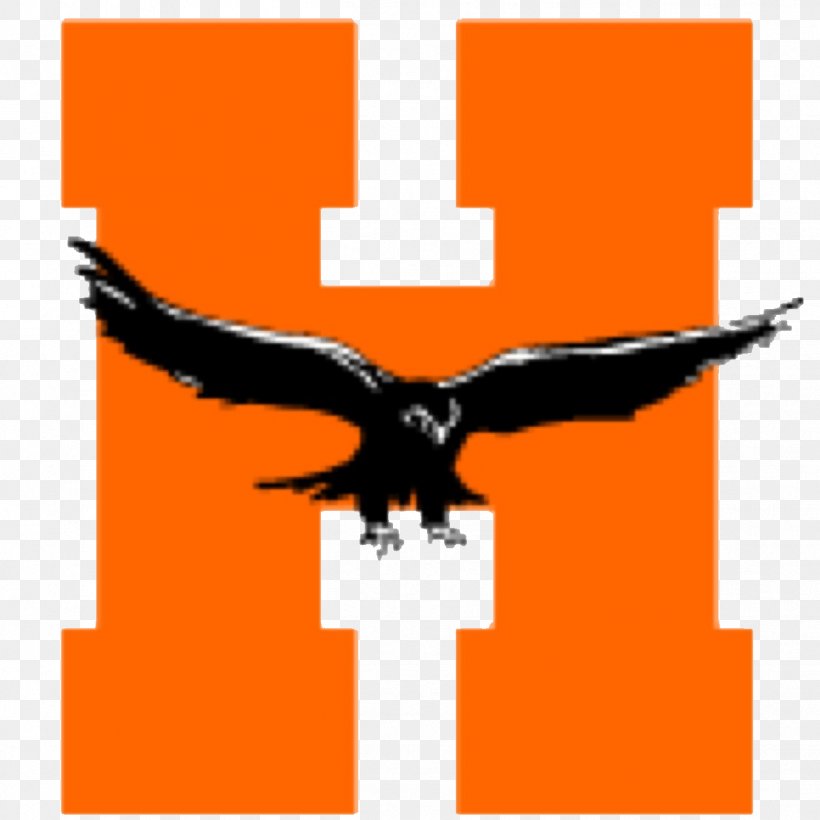 Hayfield Secondary School Hayfield, Fairfax County, Virginia National Secondary School Mount Vernon High School, PNG, 1252x1252px, Hayfield Secondary School, Alumnus, Beak, Bird, Bird Of Prey Download Free