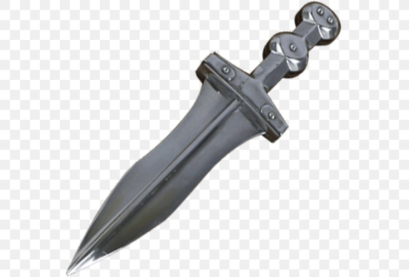 Pugio Bowie Knife Dagger Hunting & Survival Knives Tool, PNG, 555x555px, Pugio, Augers, Blade, Bowie Knife, Cold Weapon Download Free