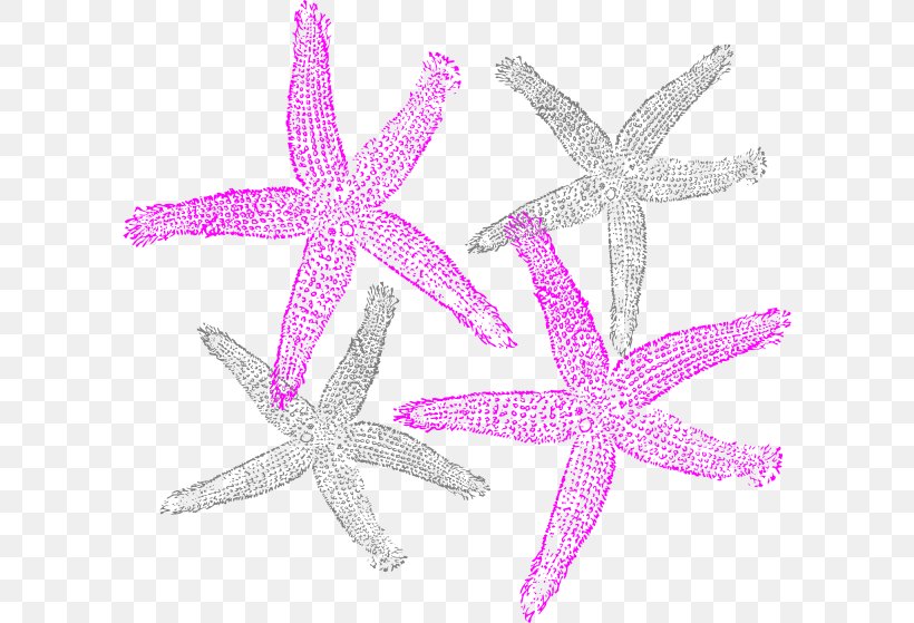 Starfish Clip Art, PNG, 600x559px, Starfish, Color, Coral, Drawing, Echinoderm Download Free