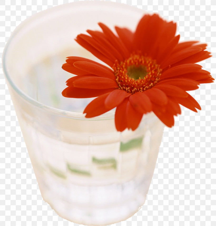 吉田薬品 Transvaal Daisy Board Health Tableware, PNG, 900x943px, Transvaal Daisy, Board, Cut Flowers, Flowerpot, Glass Download Free