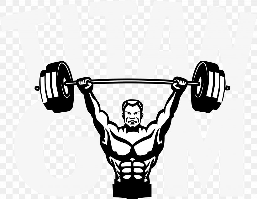 Barbell Weight Training Bodybuilding Olympic Weightlifting Power Rack, PNG, 3931x3050px, Barbell, Arm, Bench, Black And White, Bodybuilding Download Free