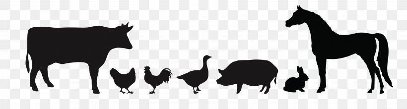Chicken Duck Silhouette Cattle, PNG, 3600x968px, Chicken, Black, Black And White, Camel Like Mammal, Cartoon Download Free