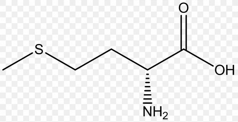 Essential Amino Acid Methionine Phenylalanine, PNG, 1167x602px, Amino Acid, Acid, Amine, Area, Biochemistry Download Free