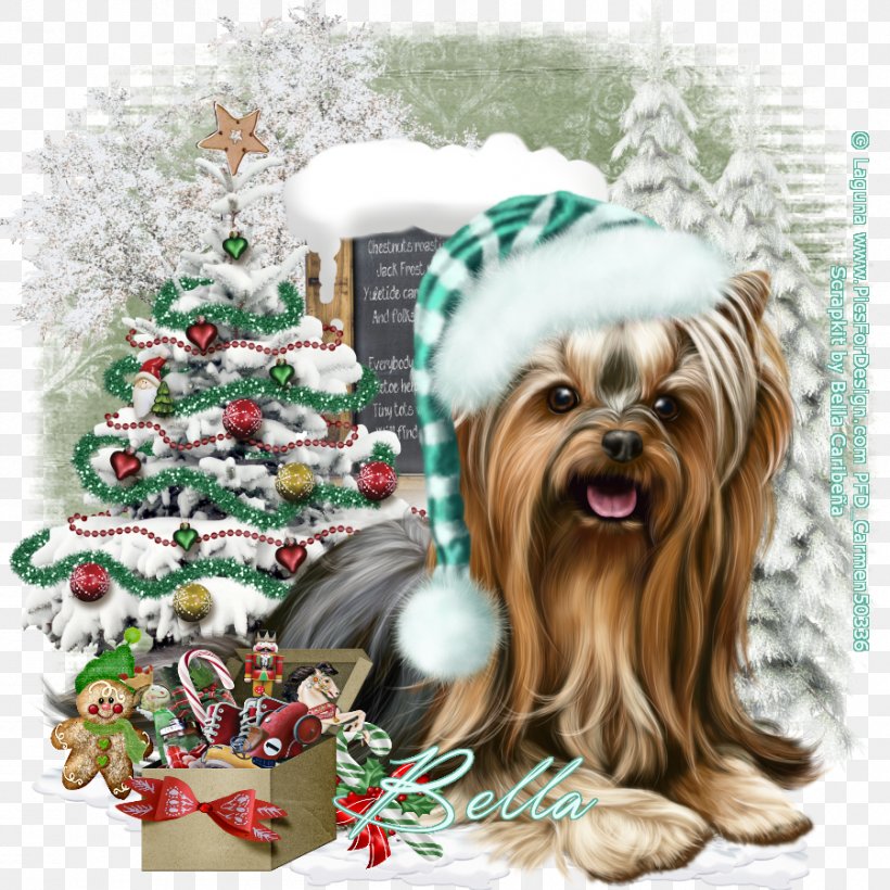 Yorkshire Terrier Dog Breed Companion Dog Christmas Ornament Toy Dog, PNG, 900x900px, Yorkshire Terrier, Breed, Carnivoran, Christmas, Christmas Decoration Download Free