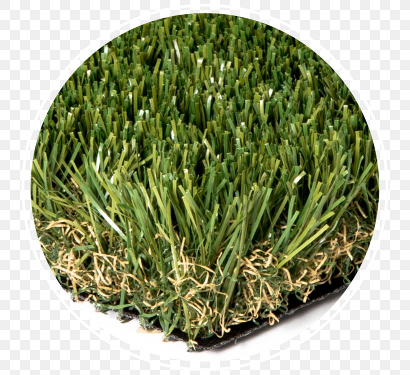 Artificial Turf Lawn Architectural Engineering Synthetic Fiber Landscaping, PNG, 750x750px, Artificial Turf, Architectural Engineering, Brick, Building, Flooring Download Free