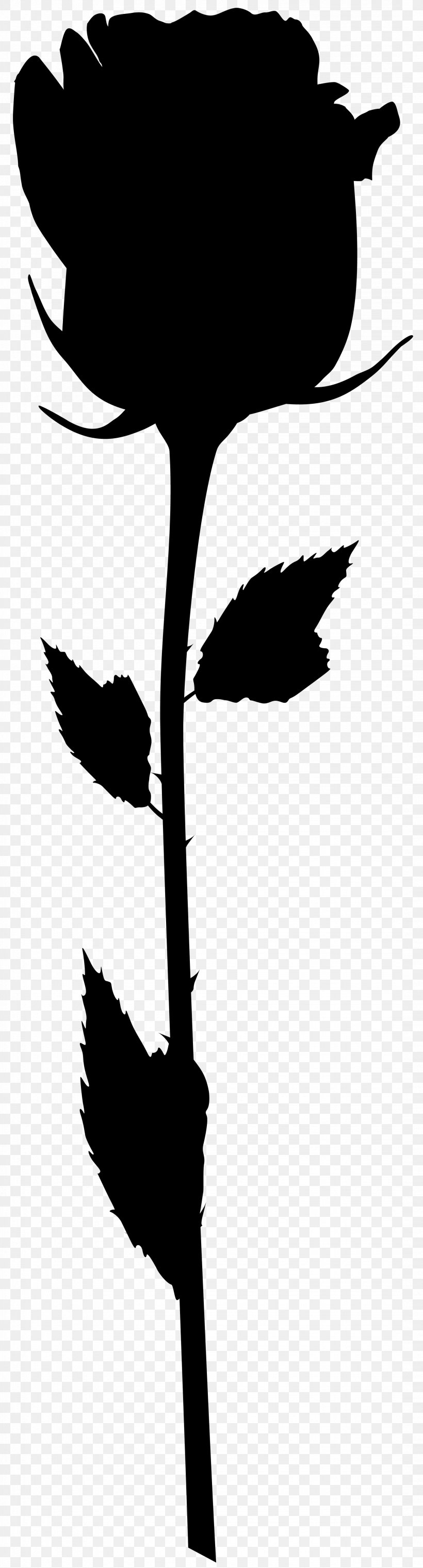 Bird Flower Clip Art Plant Stem Leaf, PNG, 2157x8000px, Bird, Beak, Blackandwhite, Botany, Flower Download Free