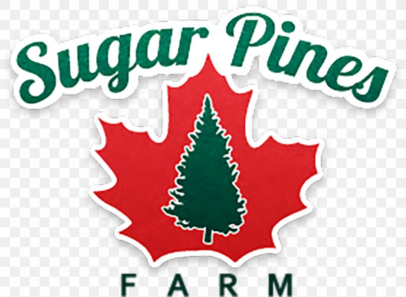 Christmas Tree Clip Art Sugar Pines Farm Brand Christmas Day, PNG, 1158x850px, Christmas Tree, Area, Brand, Christmas, Christmas Day Download Free