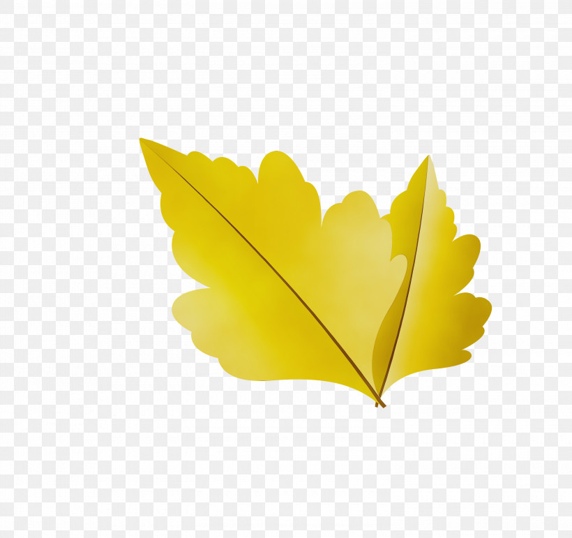 Leaf Yellow M-tree Meter Tree, PNG, 3000x2824px, Autumn Leaf, Biology, Cartoon Leaf, Fall Leaf, Leaf Download Free