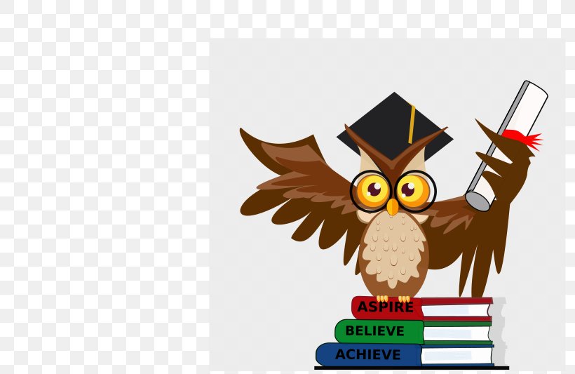 Owl Bird Beak Boy With Book Clip Art, PNG, 800x533px, Watercolor, Cartoon, Flower, Frame, Heart Download Free