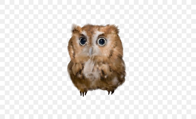 Owl Bird Clip Art, PNG, 500x500px, Owl, Beak, Bird, Bird Of Prey, Book Download Free