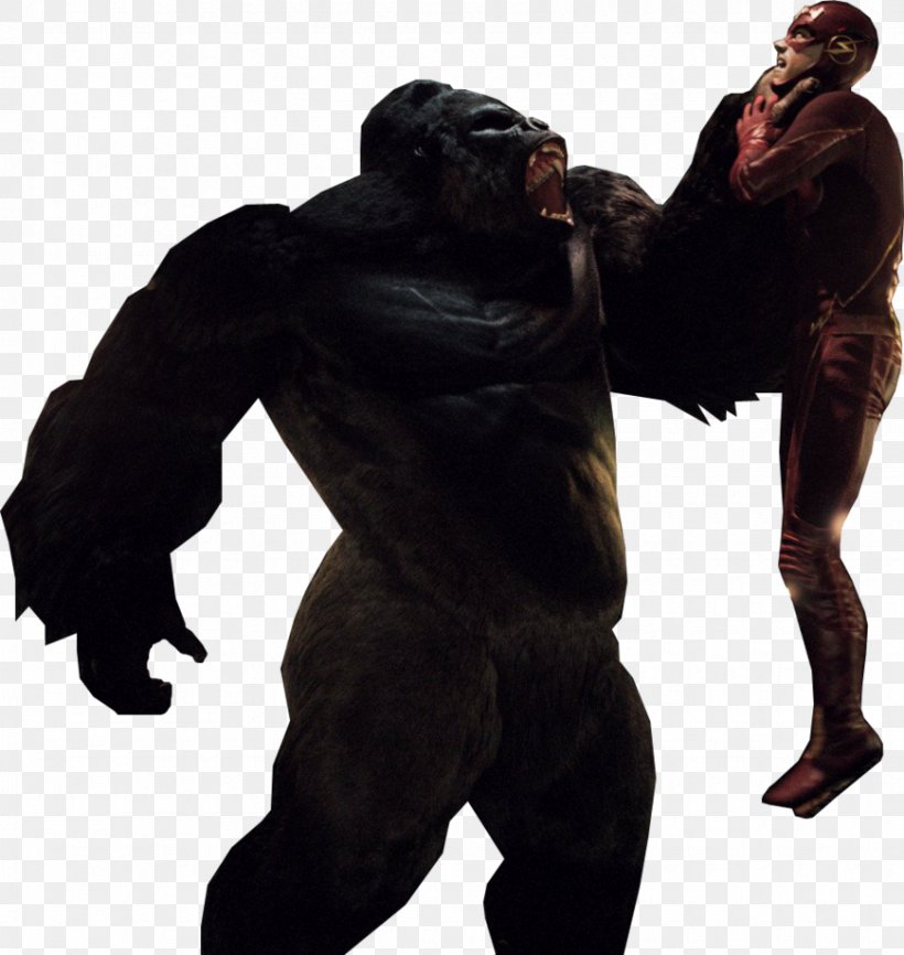 The Flash Gorilla Grodd Green Arrow Batman, PNG, 870x919px, The Flash, Batman, Chimpanzee, Cisco Ramon, Common Chimpanzee Download Free