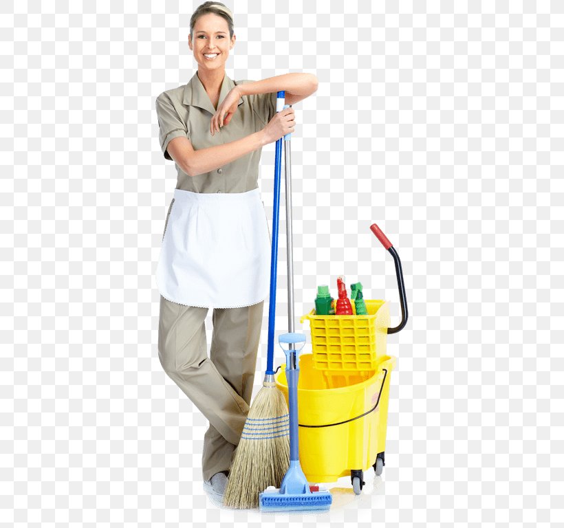 Window Cleaner Maid Service Window Cleaner Cleaning, PNG, 500x768px, Window, Apartment, Cleaner, Cleaning, Cleanliness Download Free