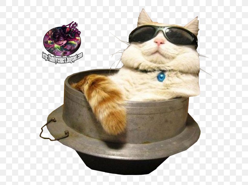 Cat Sunglasses Kitten Felidae, PNG, 635x611px, Cat, Animal, Box, Cat Bed, Cat Furniture Download Free