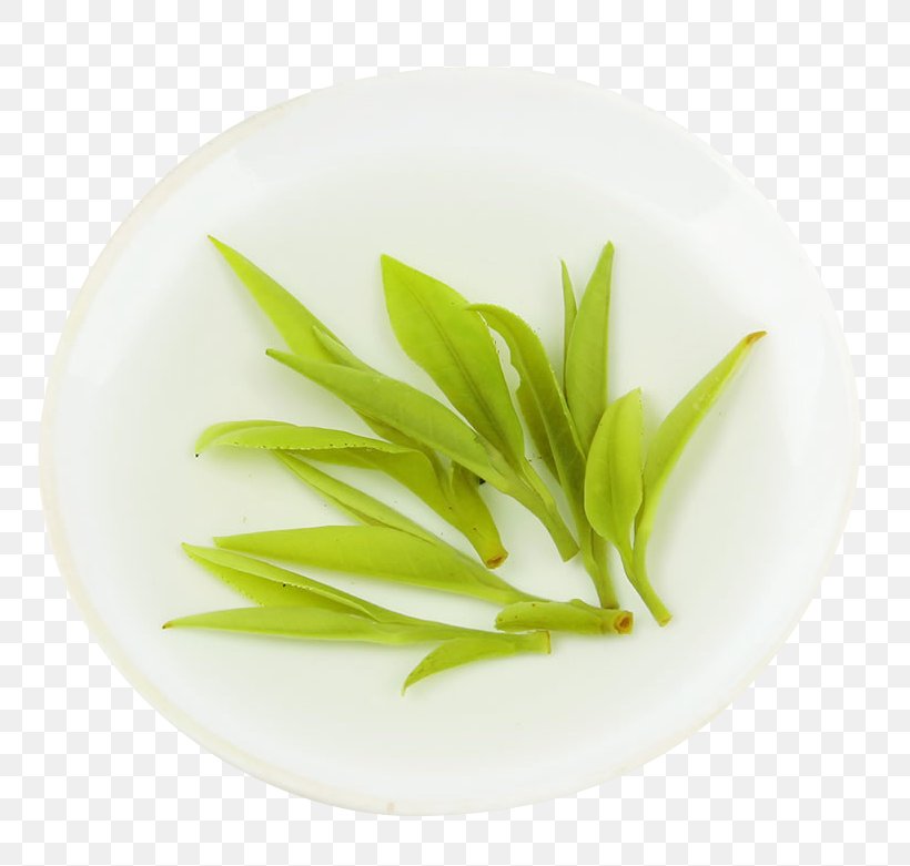 Xinyang Maojian Tea Green Tea U6bdbu5c16u8336, PNG, 790x781px, Tea, Alternative Health Services, Alternative Medicine, Brewing, Dishware Download Free