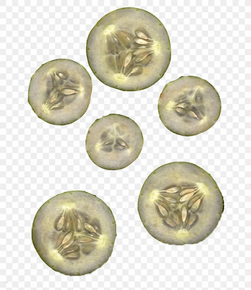 Brass Coin, PNG, 885x1024px, Brass, Button, Coin, Material, Metal Download Free