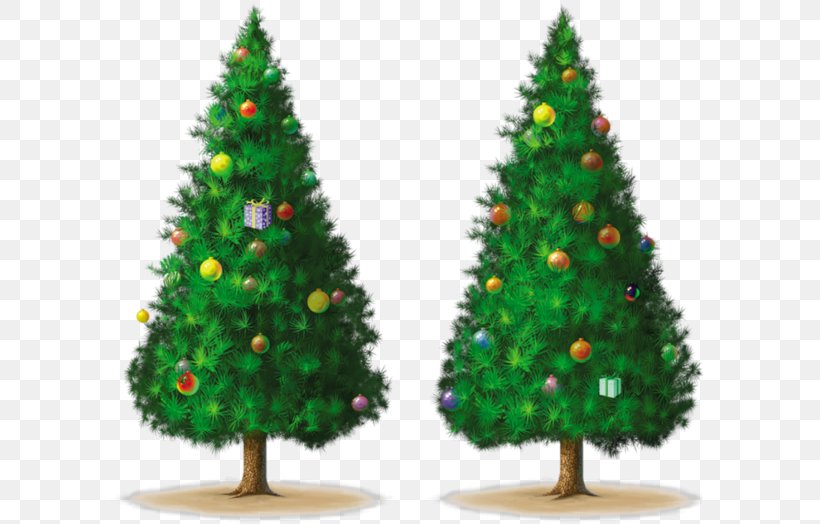 Christmas Tree Drawing Spruce, PNG, 600x524px, Christmas Tree, Animaatio, Christmas, Christmas Decoration, Christmas Ornament Download Free