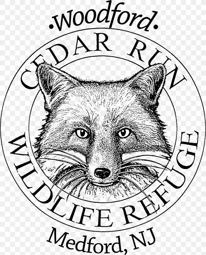 Red Fox University Of Seville Line Art Snout Clip Art, PNG, 838x1035px, Red Fox, Area, Artwork, Black And White, Carnivoran Download Free