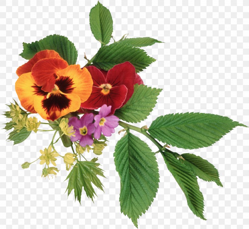 Pansy Flower Bouquet Clip Art, PNG, 2800x2575px, Pansy, Cut Flowers, Floral Design, Flower, Flower Arranging Download Free