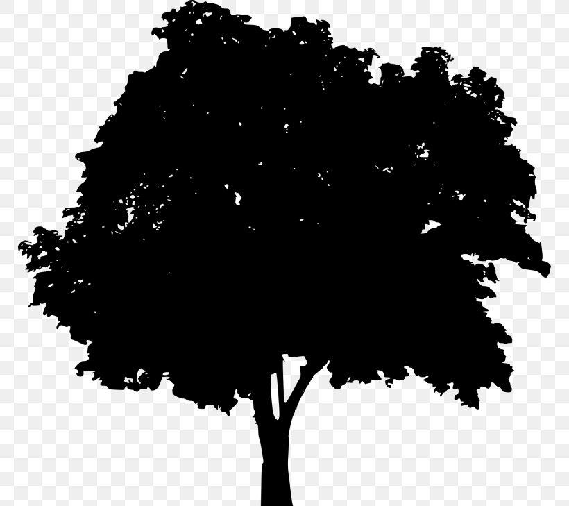 Silhouette Vector Graphics Photography Illustration Image, PNG, 768x729px, Silhouette, Blackandwhite, Branch, Brittany, Drawing Download Free