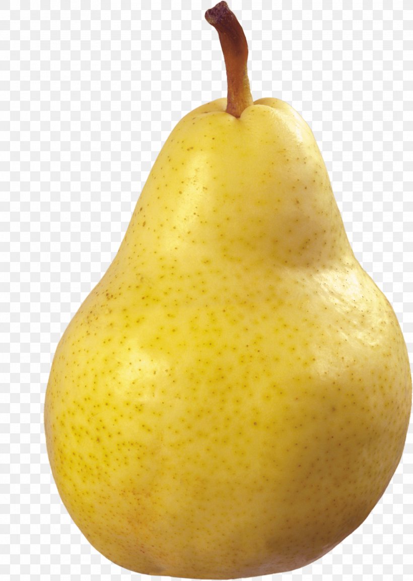 Asian Pear Fruit, PNG, 2131x2998px, Pear, Apple, Asian Pear, Food, Fruit Download Free