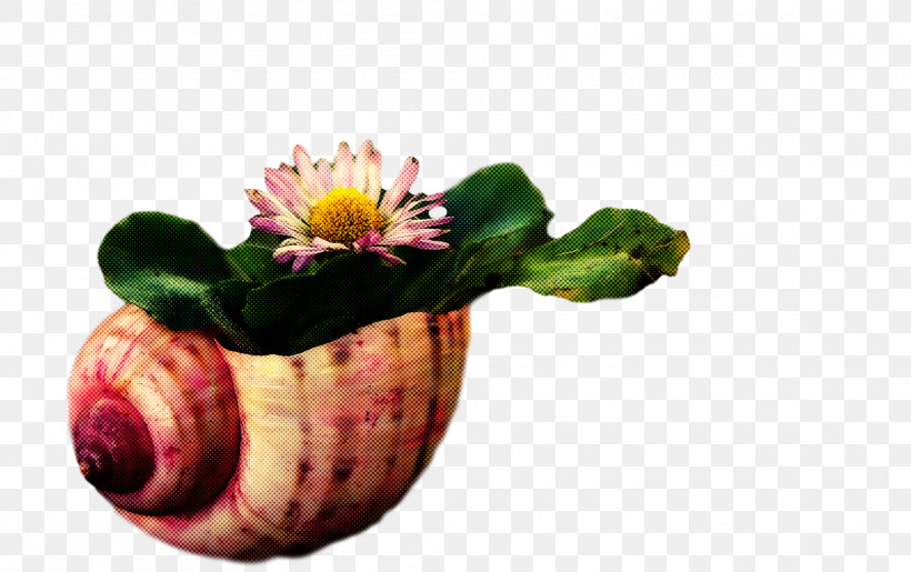 Flowerpot Flower Cut Flowers Fruit Still Life Photography, PNG, 1920x1206px, Flowerpot, Biology, Cut Flowers, Flower, Fruit Download Free