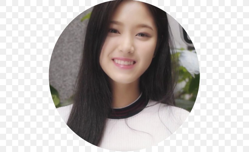 HeeJin HyunJin Loona HaSeul, PNG, 500x500px, Watercolor, Cartoon, Flower, Frame, Heart Download Free