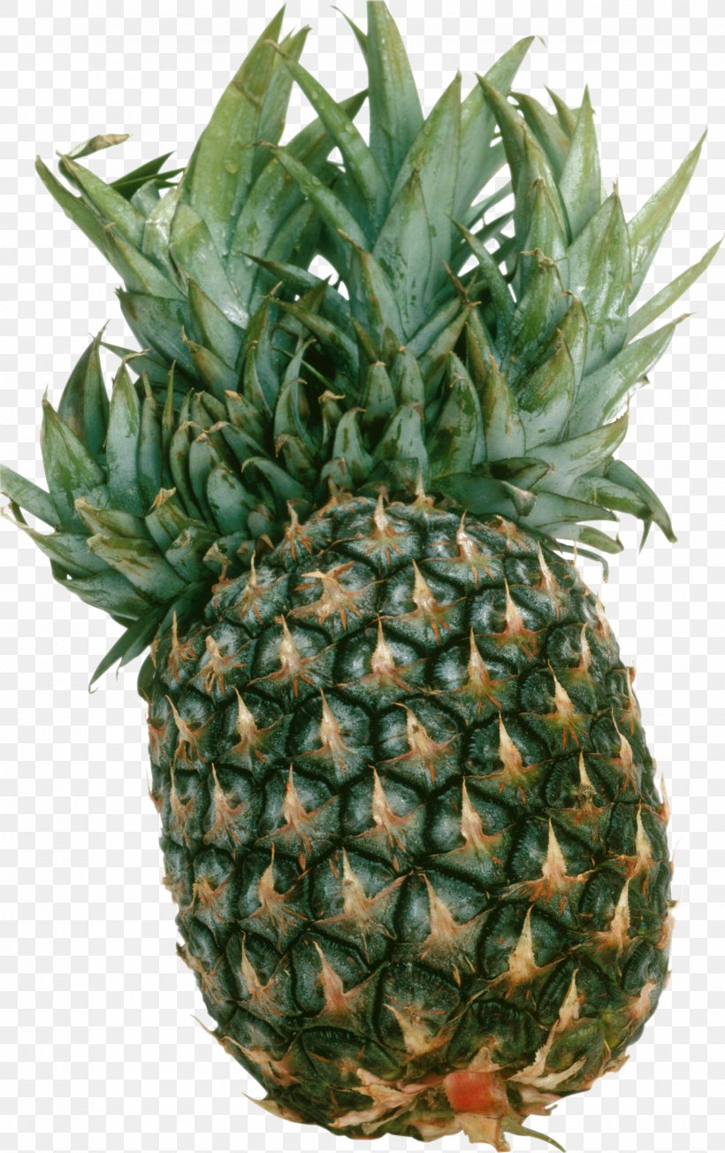 Pineapple Fruit Clip Art, PNG, 2013x3200px, Pineapple, Ananas, Berry, Bromeliaceae, Color Download Free