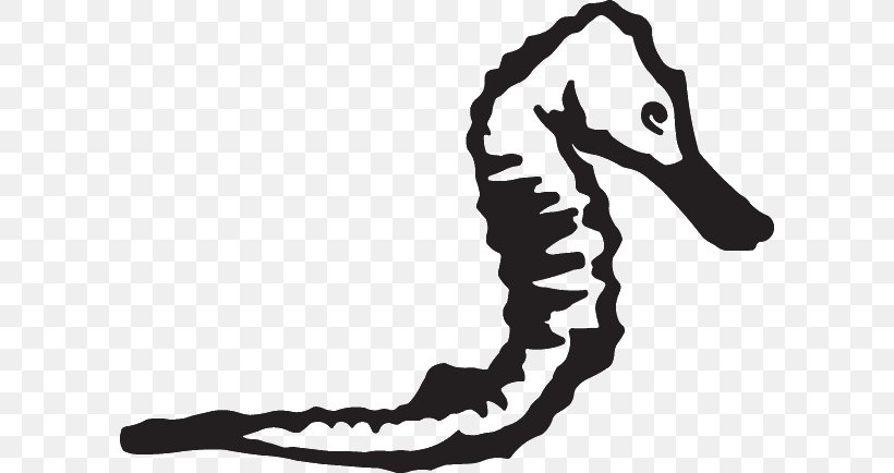 Seahorse White Shoe Clip Art, PNG, 600x434px, Seahorse, Beak, Black And White, Horse, Horse Like Mammal Download Free
