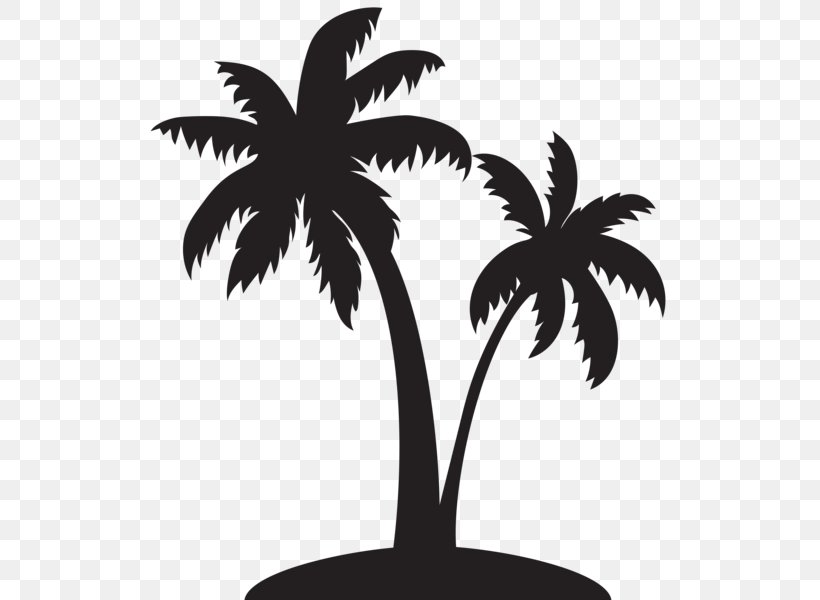 Arecaceae Silhouette Clip Art, PNG, 523x600px, Arecaceae, Arecales, Black And White, Branch, Drawing Download Free