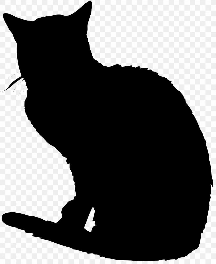 Black Cat Domestic Short-haired Cat Whiskers Wildcat, PNG, 3147x3840px, Black Cat, Black, Black And White, Carnivoran, Cat Download Free