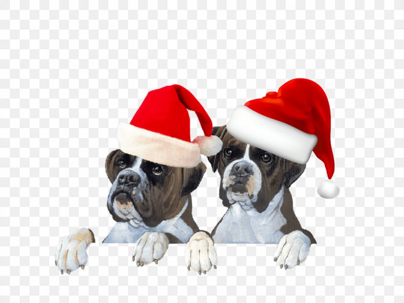 Dog Breed Puppy Boxer Santa Claus Cat, PNG, 1024x768px, Dog Breed, Bonnet, Boxer, Carnivoran, Cat Download Free