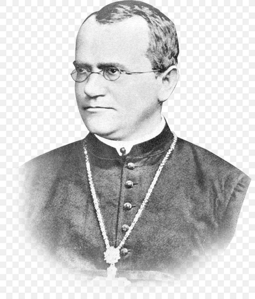 Gregor Mendel St Thomas's Abbey, Brno Genetics Biology Scientist, PNG, 798x960px, Gregor Mendel, Allele, Auxiliary Bishop, Biology, Black And White Download Free