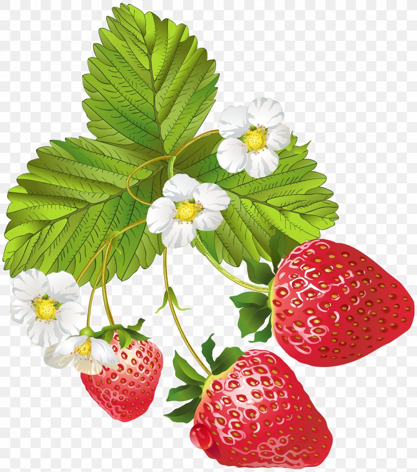 Strawberry Frutti Di Bosco Clip Art, PNG, 4419x5000px, Caribbean Cuisine, Berry, Diet Food, Egg, Food Download Free