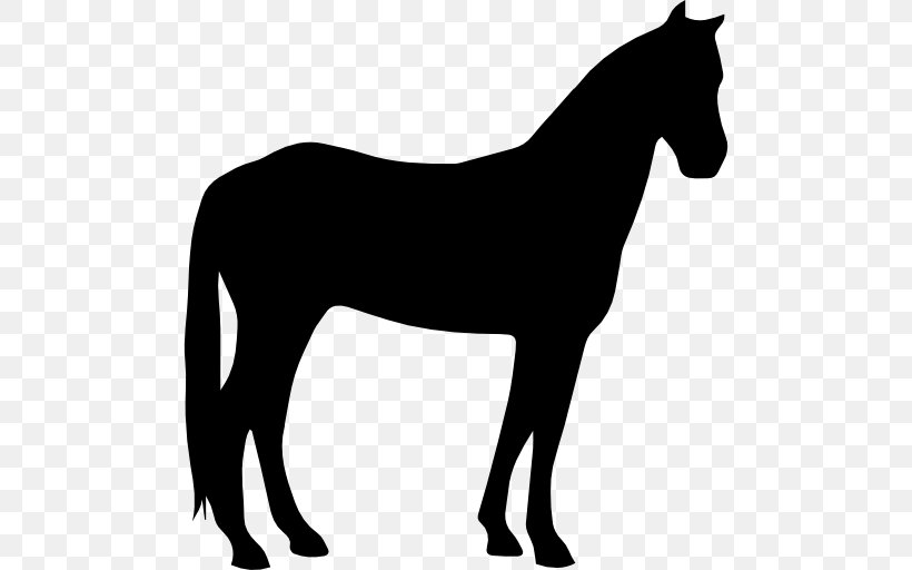 Criollo Horse Arabian Horse American Paint Horse American Quarter Horse Howrse, PNG, 512x512px, Criollo Horse, American Paint Horse, American Quarter Horse, Arabian Horse, Black Download Free