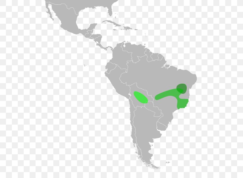 Latin America Caribbean South America Central America United States, PNG, 555x600px, Latin America, Americas, Caribbean, Caribbean South America, Central America Download Free