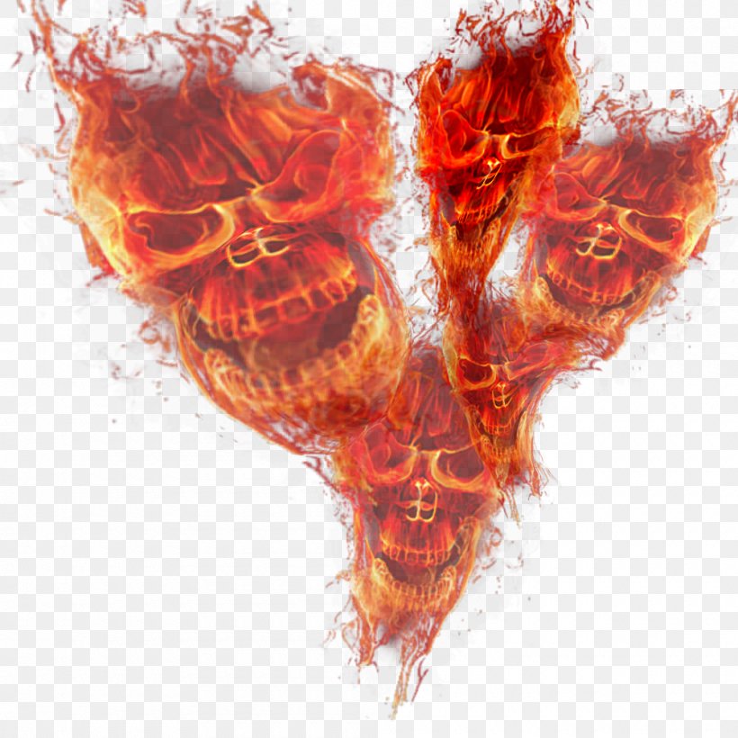 Fire Flame Skull Light, PNG, 1000x1000px, Watercolor, Cartoon, Flower, Frame, Heart Download Free