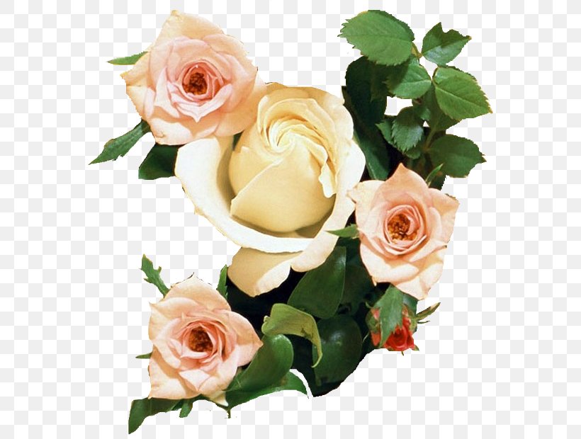 Rose Desktop Wallpaper Flower Bouquet Display Resolution, PNG, 593x620px, 4k Resolution, Rose, Artificial Flower, Cut Flowers, Display Resolution Download Free