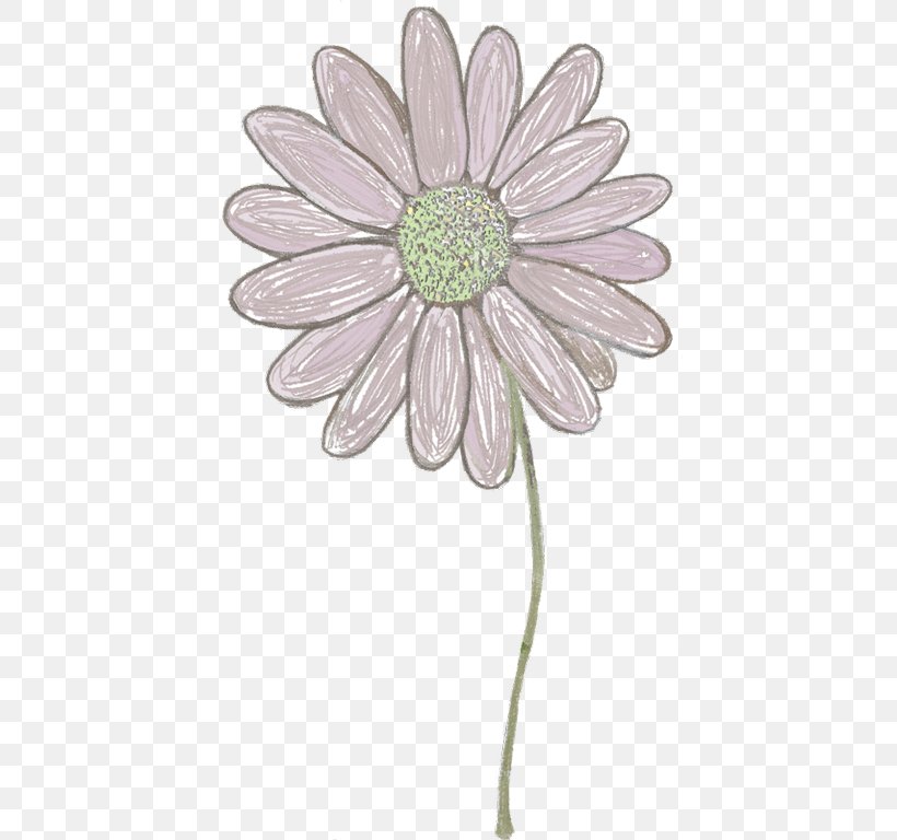 Common Daisy Chrysanthemum Transvaal Daisy Oxeye Daisy Cut Flowers, PNG, 429x768px, Common Daisy, Chrysanthemum, Chrysanths, Cut Flowers, Daisy Download Free